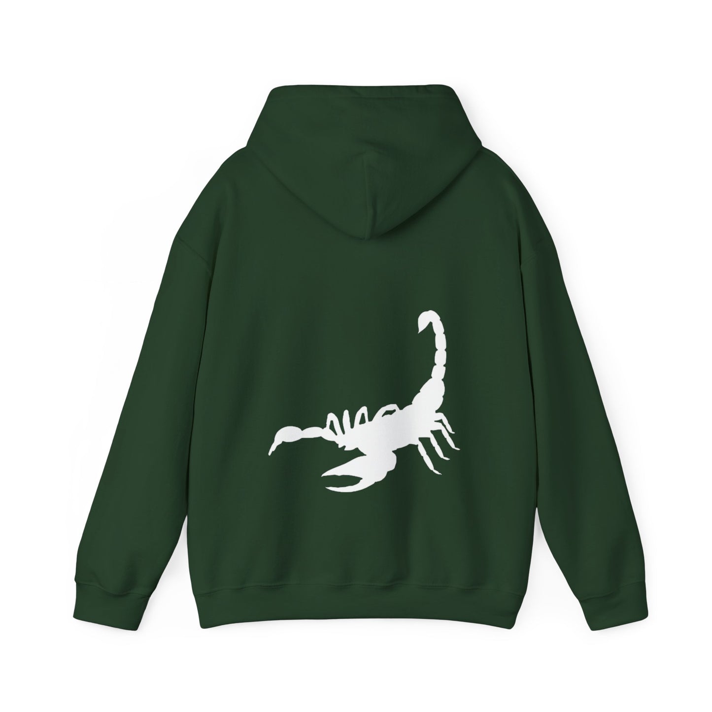 SCORPIO scorpion graphic heavy boyfriend hoody