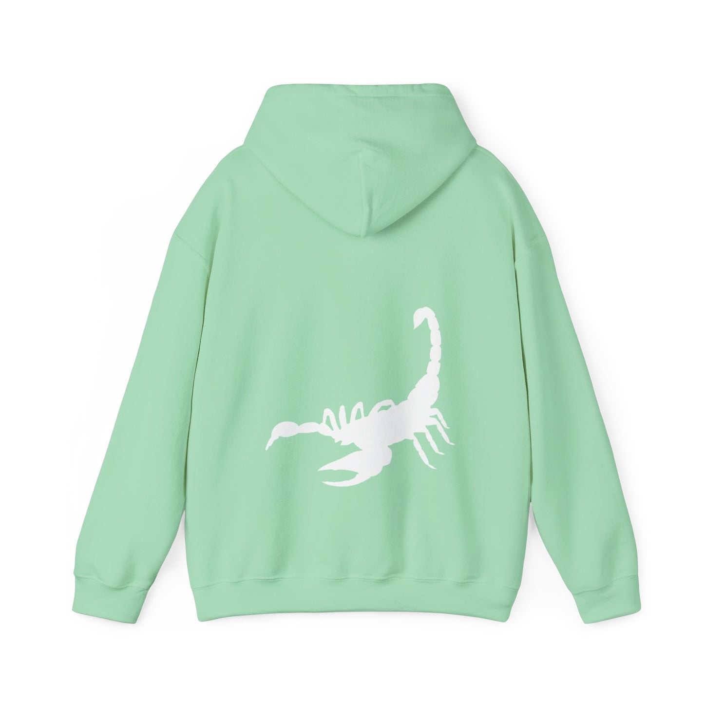 SCORPIO scorpion graphic heavy boyfriend hoody