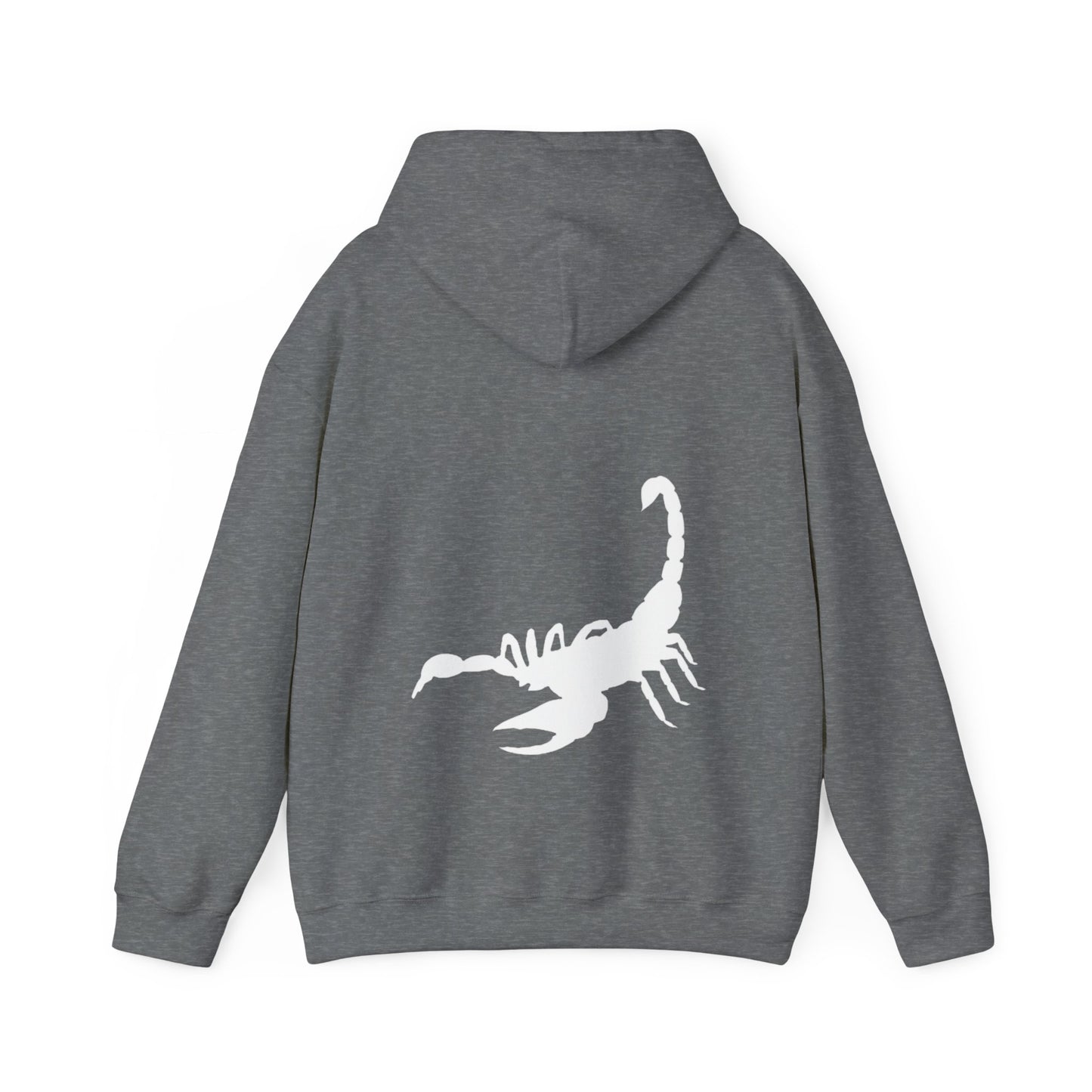 SCORPIO scorpion graphic heavy boyfriend hoody