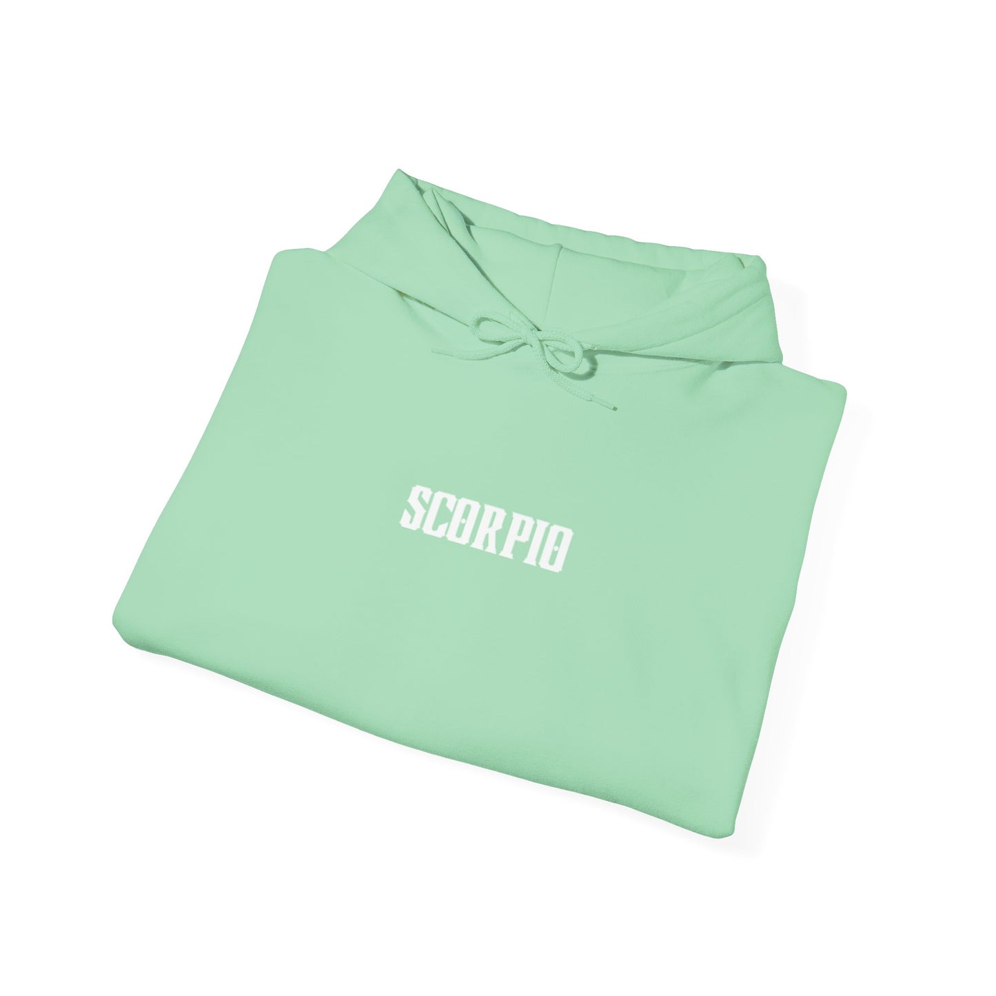 SCORPIO scorpion graphic heavy boyfriend hoody