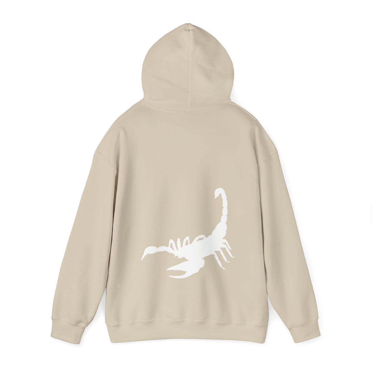 SCORPIO scorpion graphic heavy boyfriend hoody