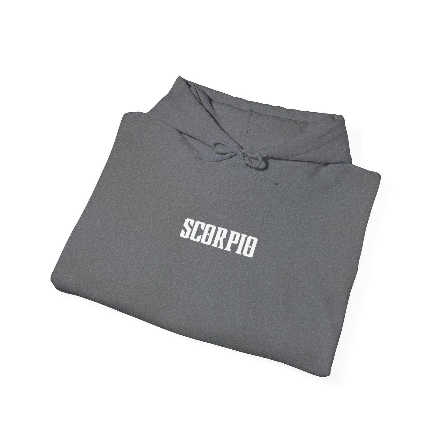 SCORPIO scorpion graphic heavy boyfriend hoody