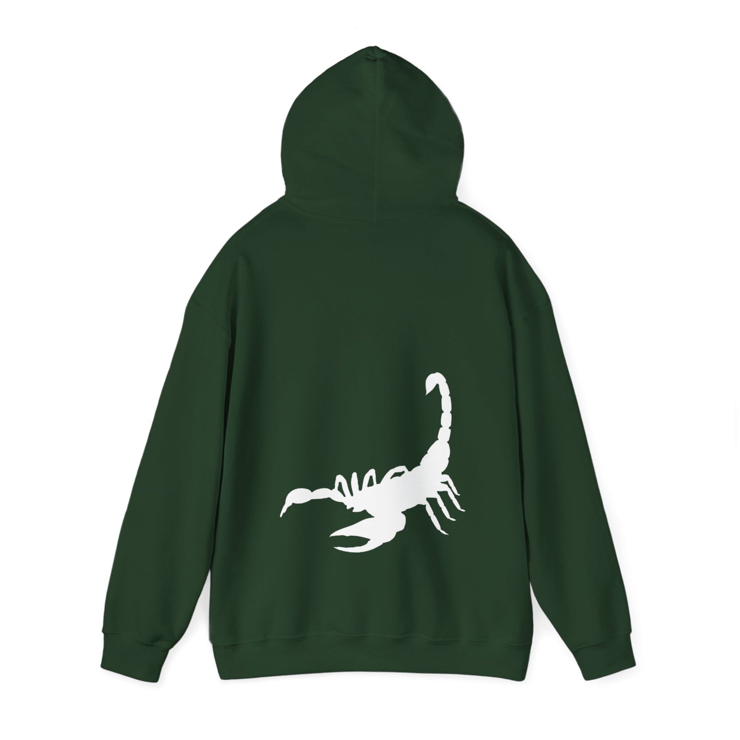 SCORPIO scorpion graphic heavy boyfriend hoody